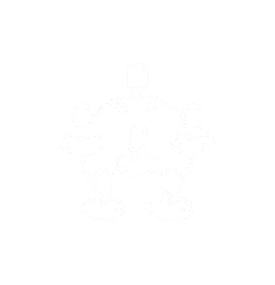 Cluster